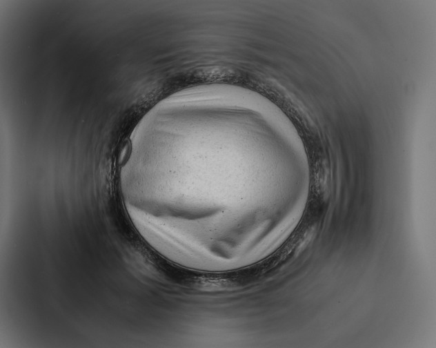 X0000087310605200705112118