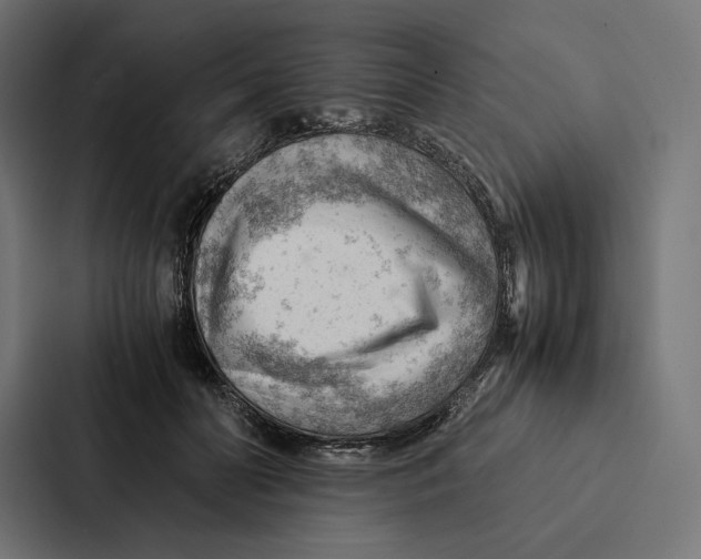 X0000087310606200705112118