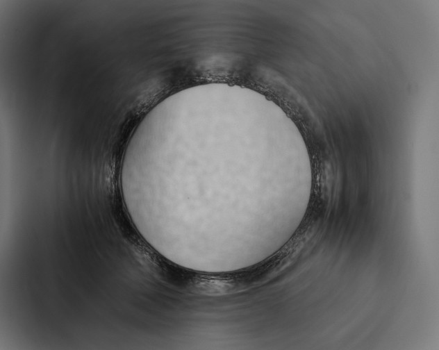 X0000087310610200705112118