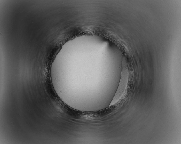 X0000087310611200705112118