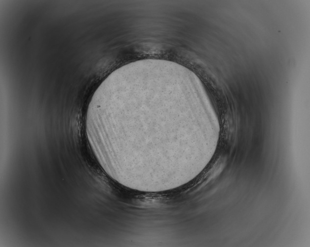 X0000087310612200705112118