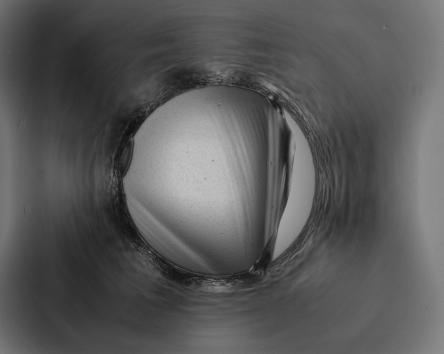 X0000087310613200705112118