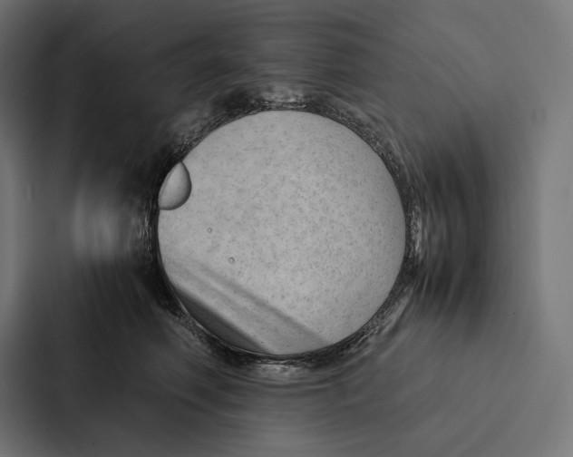 X0000087310614200705112118