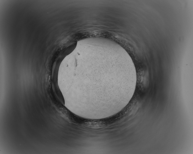 X0000087310615200705112118