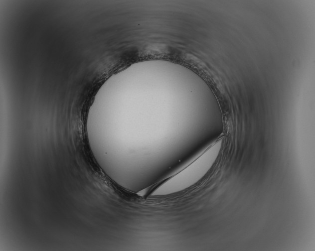 X0000087310617200705112118