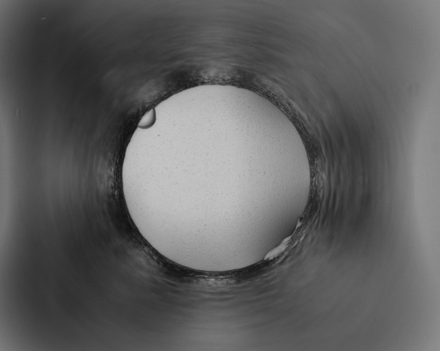 X0000087310619200705112118