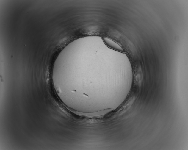 X0000087310620200705112118