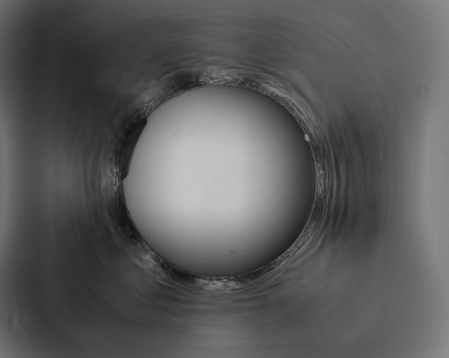 X0000087310621200705112118