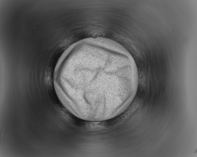 X0000087310622200705112118