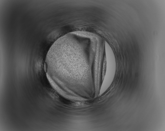 X0000087310623200705112118