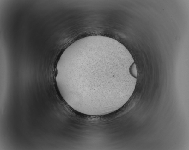 X0000087310624200705112118