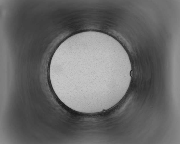 X0000087310625200705112117