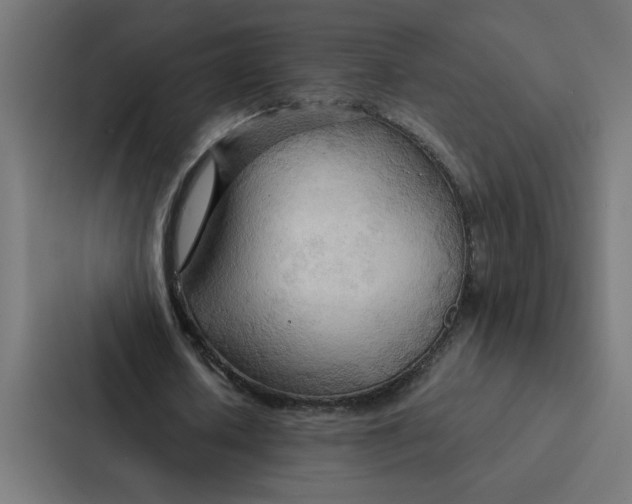 X0000087310626200705112117