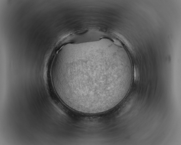 X0000087310627200705112117