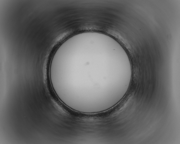 X0000087310629200705112117