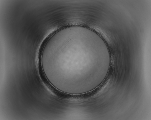 X0000087310630200705112117