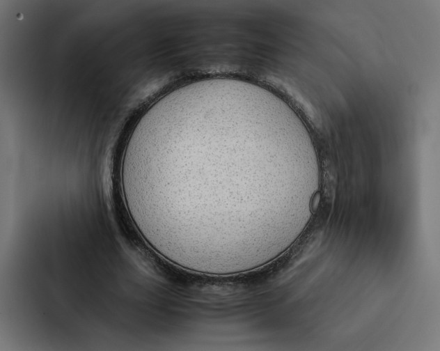 X0000087310631200705112117