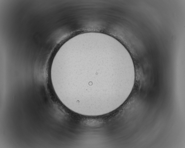 X0000087310632200705112117