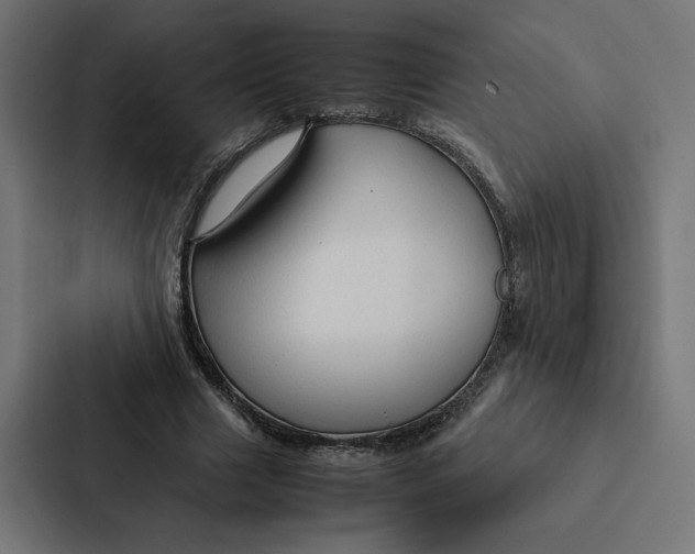 X0000087310633200705112117