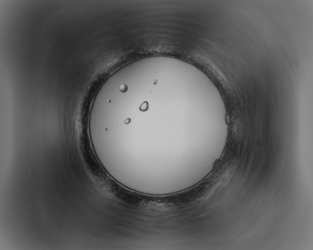 X0000087310635200705112117