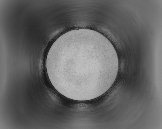 X0000087310636200705112117