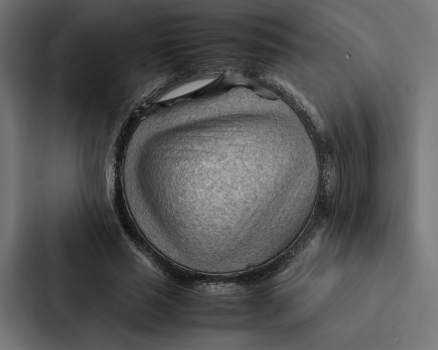 X0000087310637200705112117