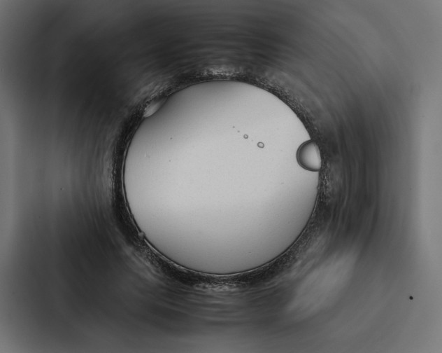 X0000087310639200705112117