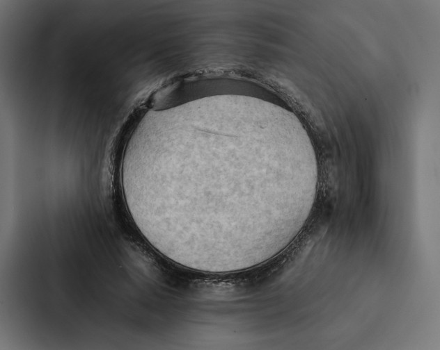 X0000087310640200705112117