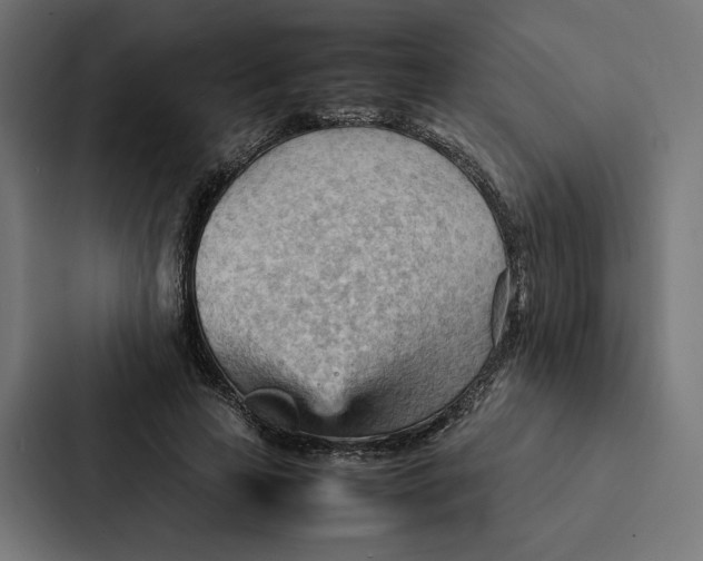 X0000087310641200705112117