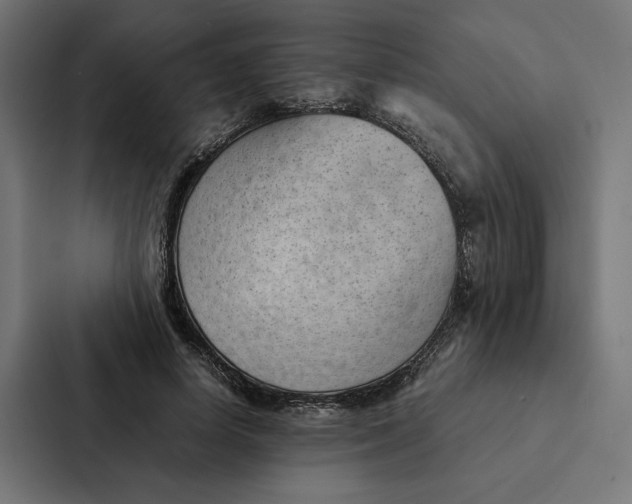 X0000087310642200705112117