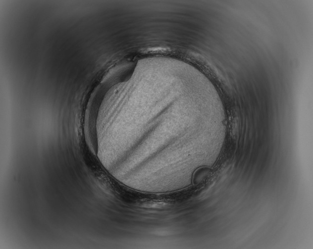 X0000087310643200705112118