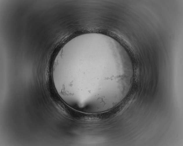 X0000087310644200705112118