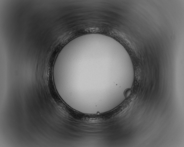 X0000087310645200705112118