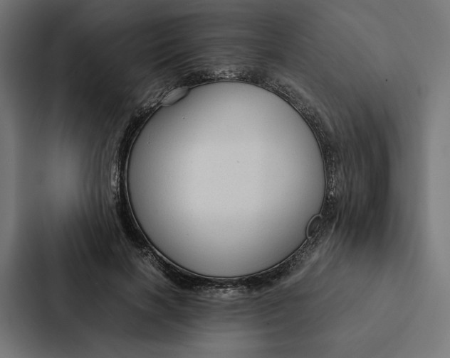 X0000087310646200705112118