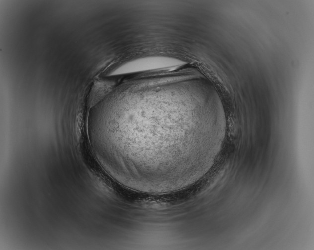 X0000087310648200705112118