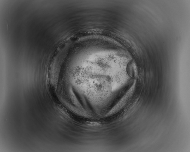 X0000087310649200705112118