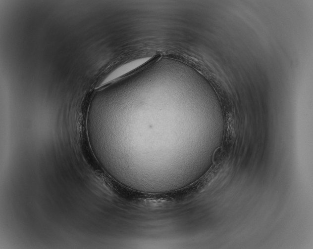 X0000087310650200705112118