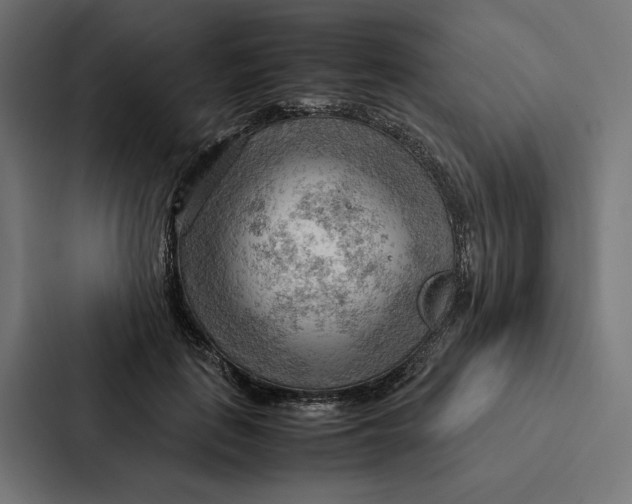 X0000087310651200705112118