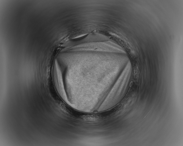 X0000087310652200705112118