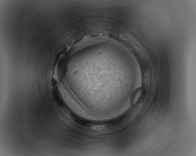 X0000087310653200705112118