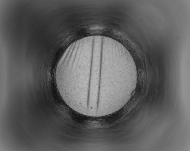 X0000087310655200705112118