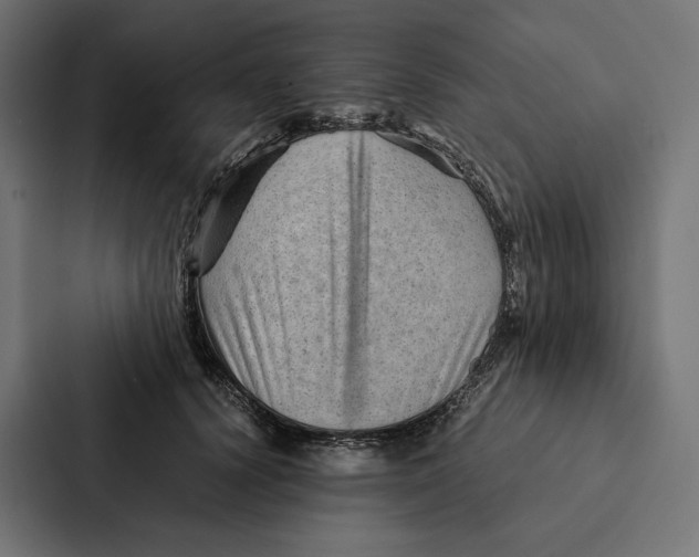 X0000087310656200705112118