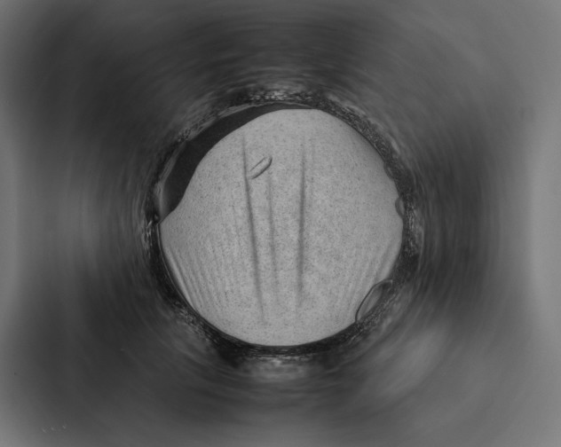 X0000087310657200705112118