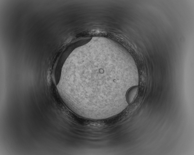 X0000087310659200705112118