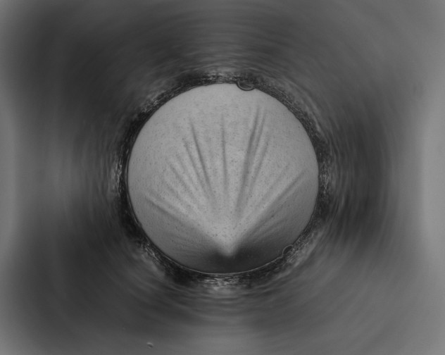 X0000087310660200705112118