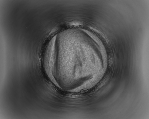 X0000087310661200705112118