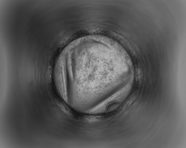 X0000087310664200705112118