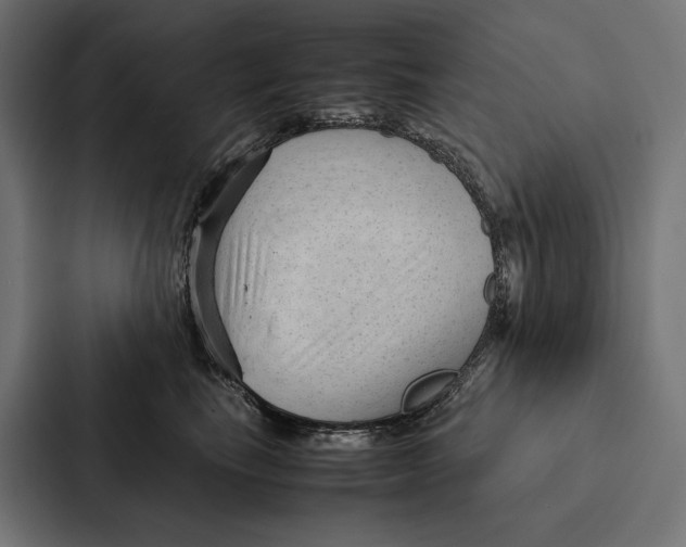 X0000087310665200705112118