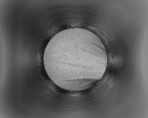 X0000087310667200705112118