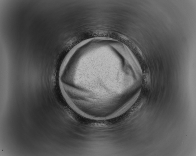 X0000087310668200705112118